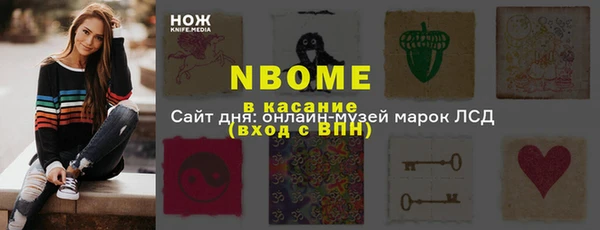 индика Волоколамск