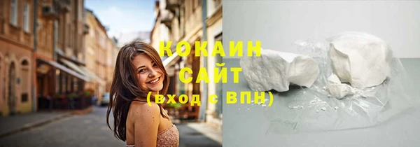 индика Волоколамск