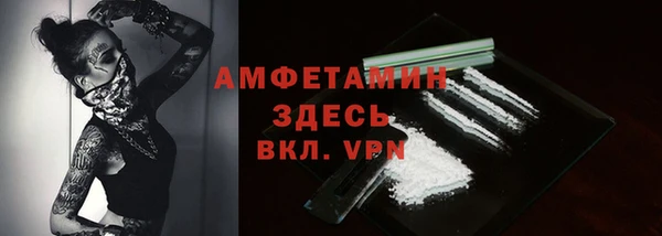 индика Волоколамск