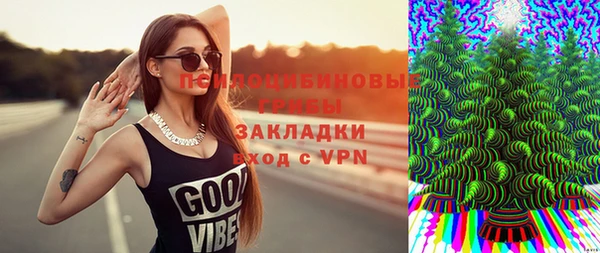 индика Волоколамск