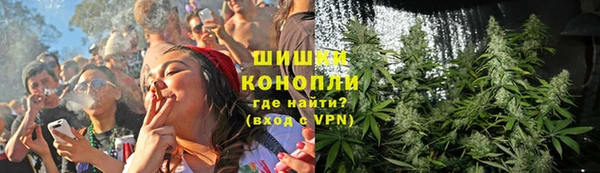 крисы Володарск