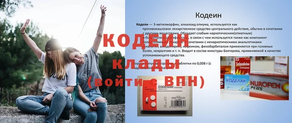 индика Волоколамск